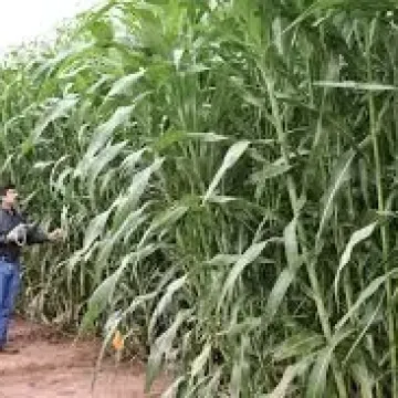 Навигатор