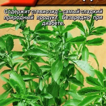 Услада