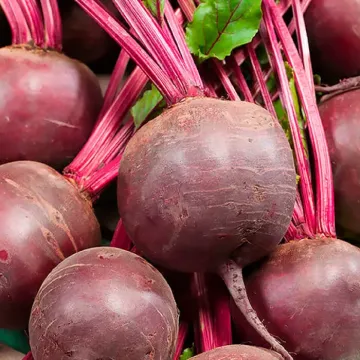 BORDO DELICATESSE