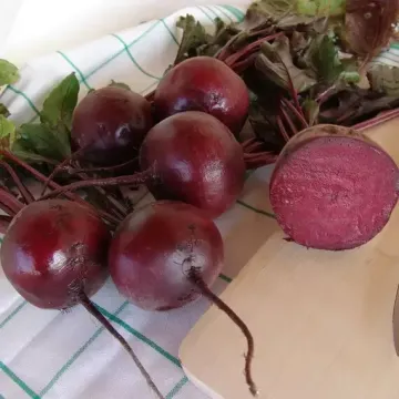 Моника