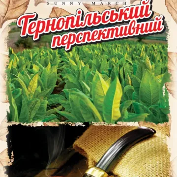 Тернопильский перспективний