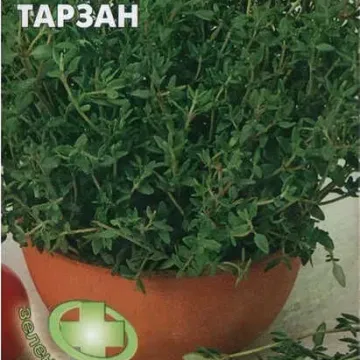 Тарзан