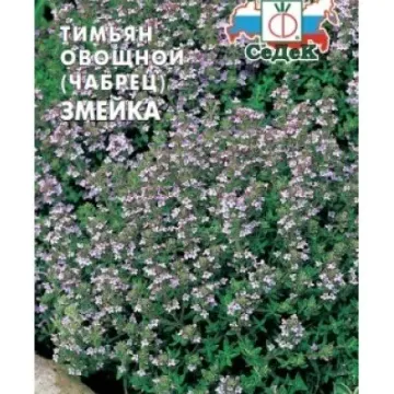 Змейка