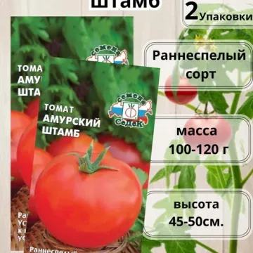 Амурський Штамб