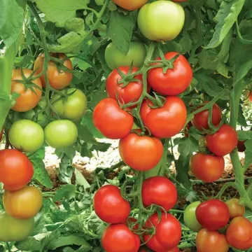 Анталия