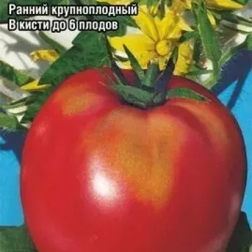 Батяня