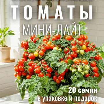 БОН Апеті