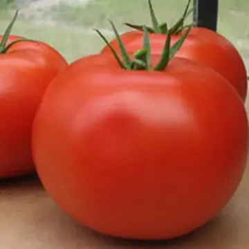 Браво