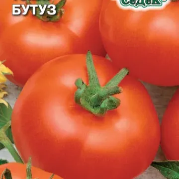 Бутуз