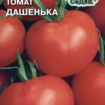 Дашенька