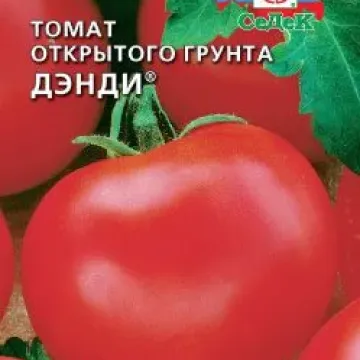 Денді