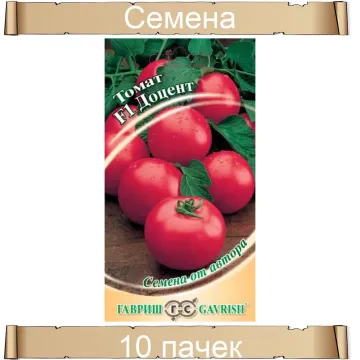 Доцент