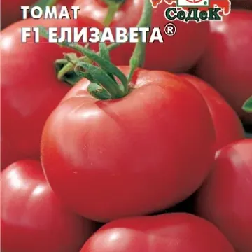 Єлизавета