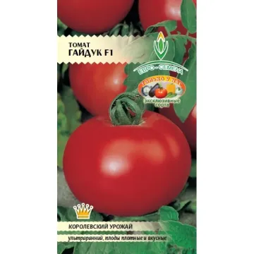 Гайдук