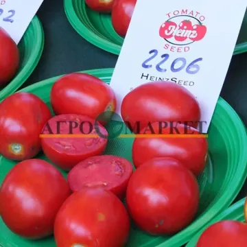 ХАЙНЗ 2206
