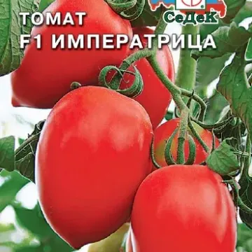 Імператриця