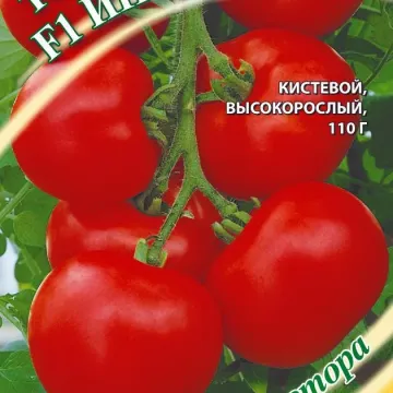 Інтуїція