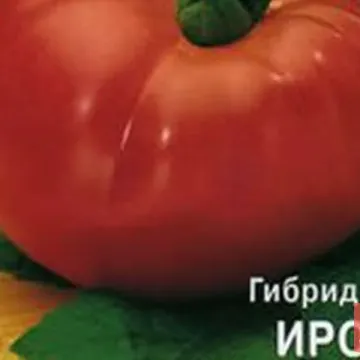 Ірок
