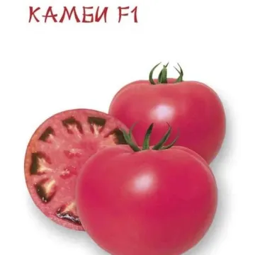 CAMBI