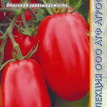 Каспер