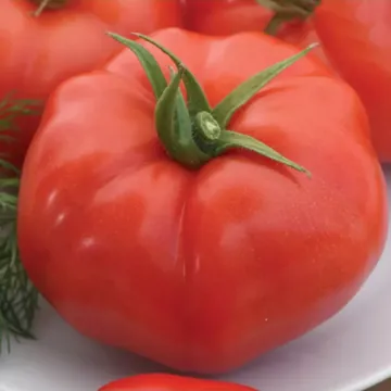 Кассиопея
