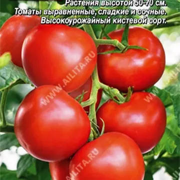 Koketka