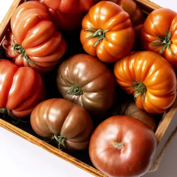 Краковяк