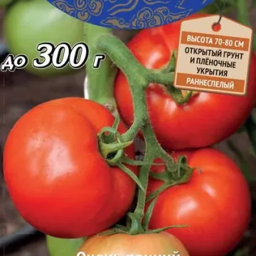 Влучний