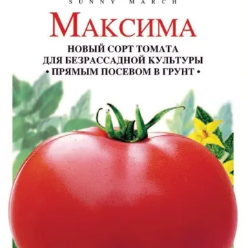 Максима