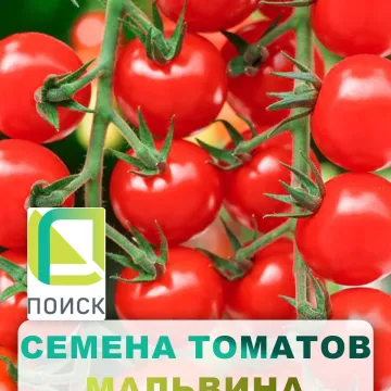 Мальвіна