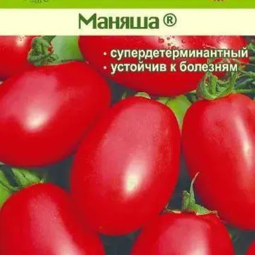 Маняша