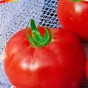 Микулич