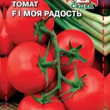 МОЯ Радість