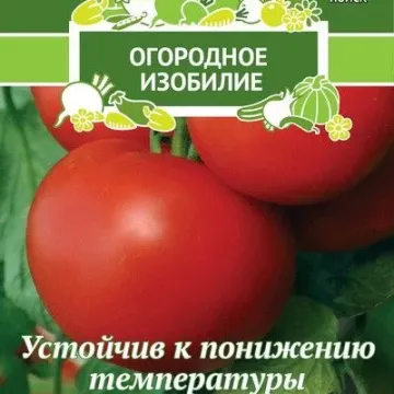 Знахідка Дачника