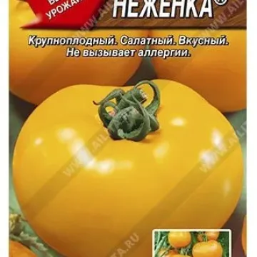 NEJENKA