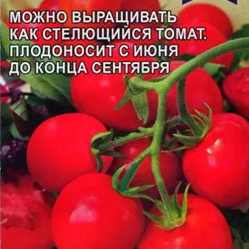 Низкорослый Запуняка