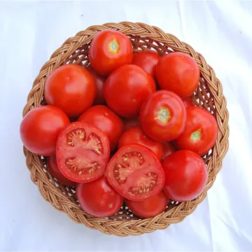 Новинка Кубани