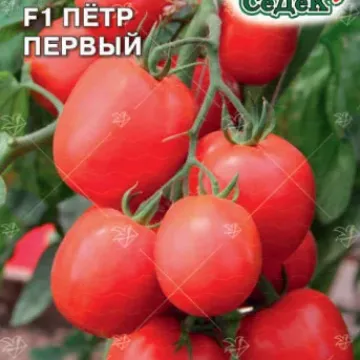 Петро Перший