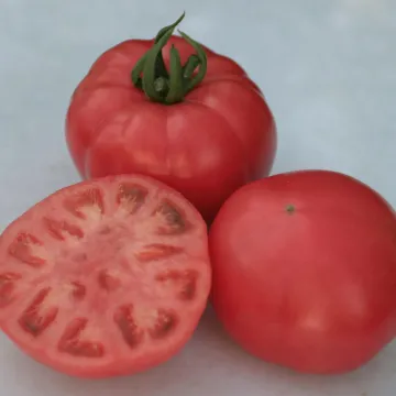 Ролекс