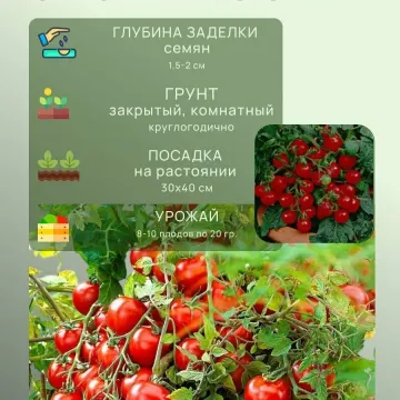 Розовые Купола