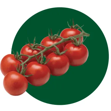 Розовый Коктейль