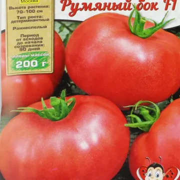 РУМ’ЯНИЙ БІК