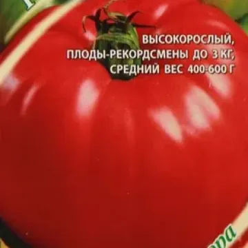 Русский Размер