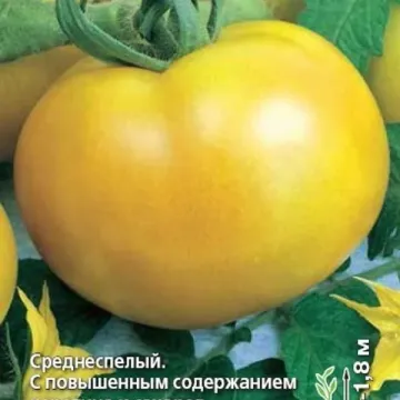 Санчо Панса