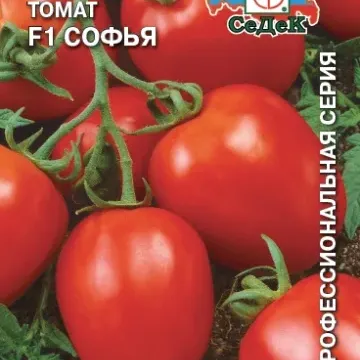 Софья