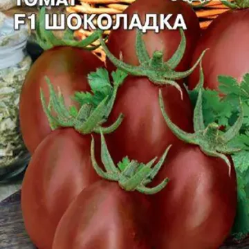 Шоколадка