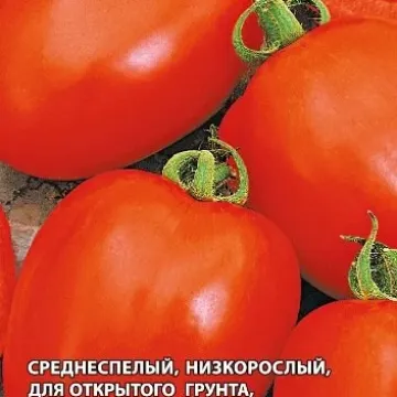 Станівник
