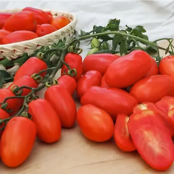 СУ 36/08 F1