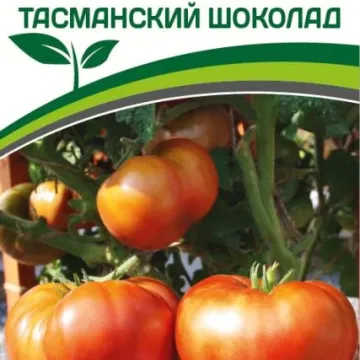 Тасманский ШОК