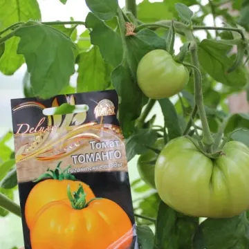 TOMANGO